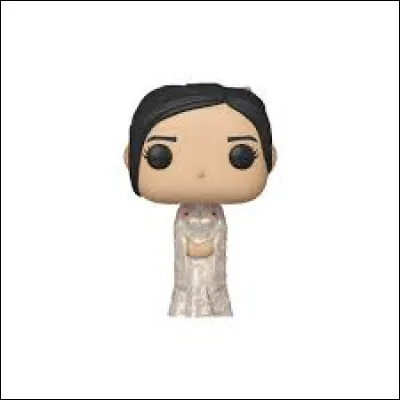 À qui appartient cette pop ?