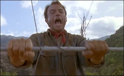 Quelle est la dernière chose activée par Ellie Sattler quand elle essaie de remettre l'électricité ?