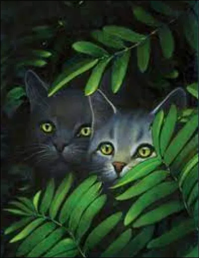 Avec qui est-il devenu ancien ?