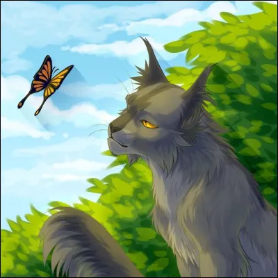 Comment est le pelage de Plume Grise ?