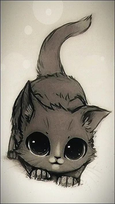 Combien a-t-il eu de chatons en tout ?