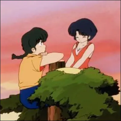 Ranma aime Akane.