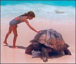 Les Seychelles se trouvent au Nord-Est :