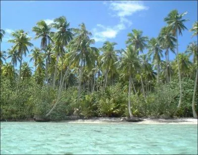 Quel peintre franais vcut  Tahiti ?