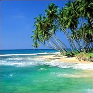 Sur le drapeau dor, vert, orange du Sri Lanka ( le situ au Sud-Est de l'Inde ), on peut voir aussi :