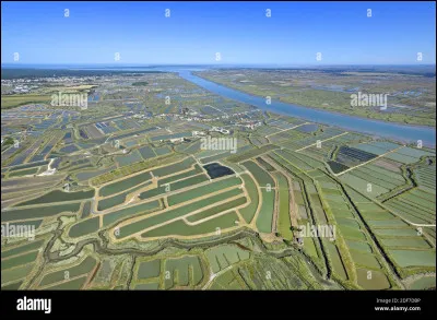 De quoi le bassin de Marennes-Oléron est-il un centre important de production ?