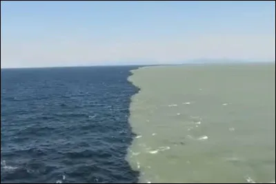 Que sont l'Atlantique et le Pacifique ?