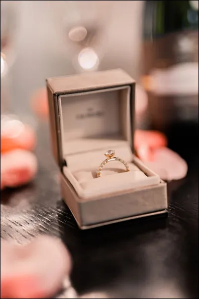 Dans la chanson ''Aux marches du palais'', qui la belle jeune fille a-t-elle choisi pour fiancé ?