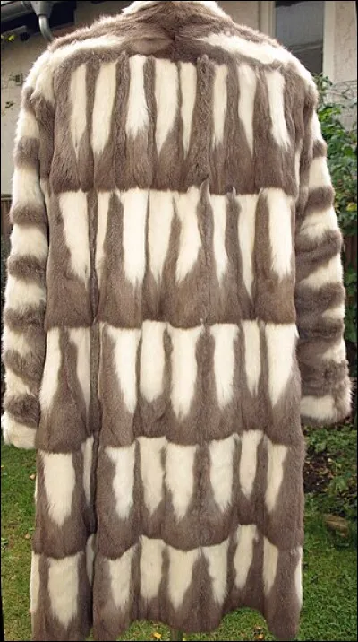 Dans son livre de 1954, comment est le pape pour Miguel Angel Asturias ?