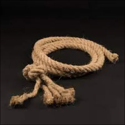 Quelle lettre du matériau de cette corde faut-il remplacer pour obtenir celui qui glorifie ?