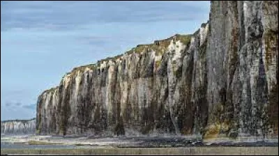 Quelle lettre faut-il remplacer pour obtenir une baliverne ?