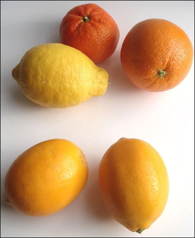 Quel est le nom de cette variété de citrons ?