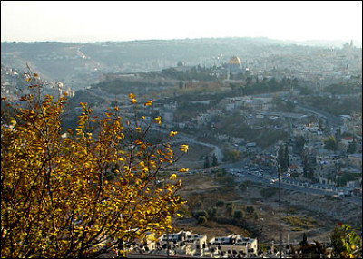 Dans quel pays se trouve la vallée de Cédron, qui donnerait son nom au citron ?