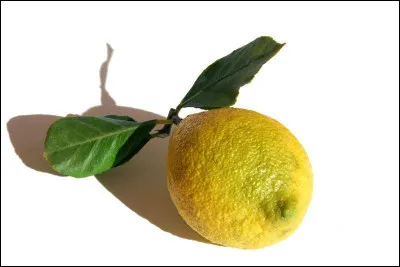 Quelle ville espagnole donne son nom &agrave; une vari&eacute;t&eacute; de citrons ?