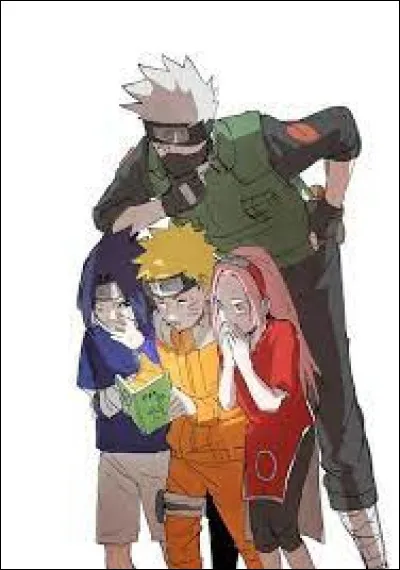 Que signifie ''Kakashi'' ?