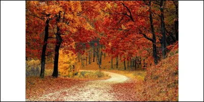 &Agrave; quelle date commence l'automne ?