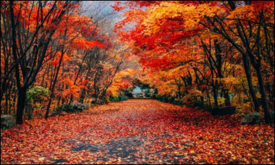 Dans l'hémisphère sud, quels sont les trois mois d'automne ?