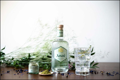 Quelle épice est présente dans le gin ?