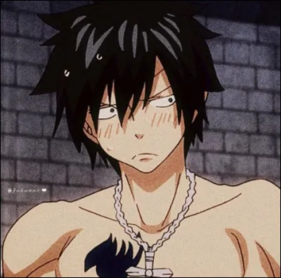 Le premier manga que j'ai lu est "Fairy Tail". Comment s'appelle ce personnage ?