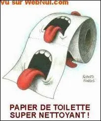 Pourquoi les Belges disent : 'on va  la toilette' et les Franais : 'on va aux toilettes' ?