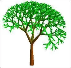 Un Franais a t retrouv mort ligot  un arbre :