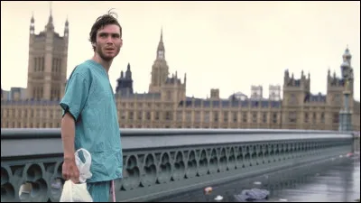 Dans ce film l'acteur joue le rôle de Jim, un coursier qui se réveille d'un coma pour découvrir un monde post-apocalyptique ravagé par une épidémie de rage qui a transformé la majeure partie de la population en des créatures violentes et infectées. Quel est ce film ?