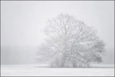 Dehors ce matin, il y a du...