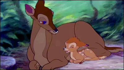 Comment meurt la maman de Bambi ?