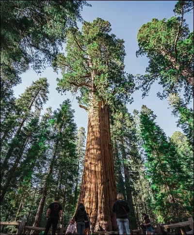Et pour Gabriel Garcia Marquez, qui y a-t-il dans son labyrinthe ?
