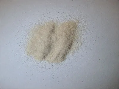 Quel livre d'Albert Memmi est sorti en 1955 ?