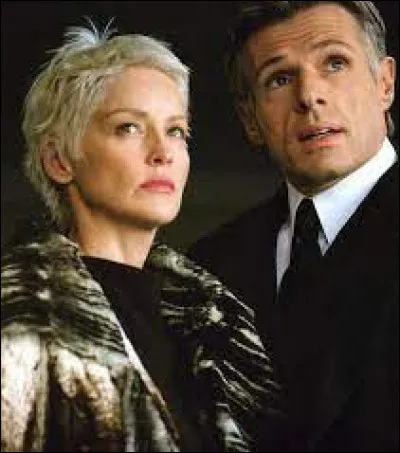 De qui Sharon Stone et Lambert Wilson sont-ils les ennemis dans un film sorti en 2004 ?