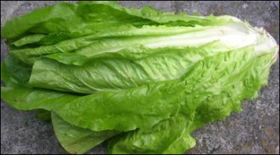 Quelle variété de salade est utilisée dans l'expression : ''Bon comme ...'' ?