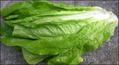 Quelle vari&eacute;t&eacute; de salade est utilis&eacute;e dans l'expression : ''Bon comme ...'' ?