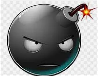 Quel est ton pire défaut ?