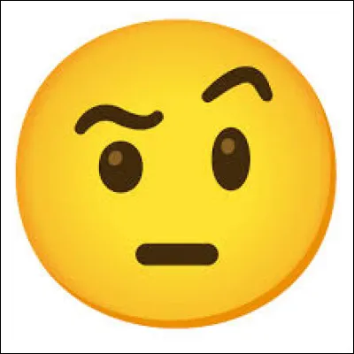 Dernière question : pourquoi fais-tu ce test ?