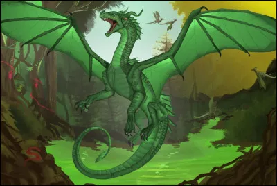 Mandragore : est-ce une fille ou un garçon ?