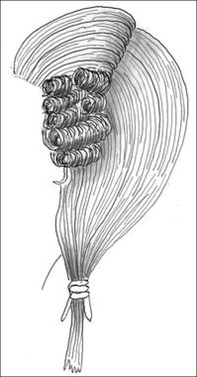 Comment appelle-t-on cette perruque dont les longs cheveux étaient réunis dans une pochette à l'arrière de la coiffure ?