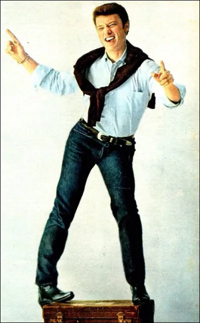 Qui chantait "L'idole des jeunes" ?