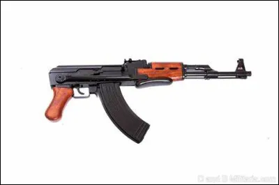 De quelle arme s'agit-il ?
