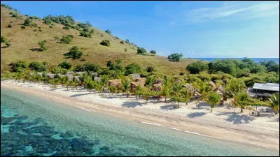 L'histoire d'Alexander Selkirk (1676-1721) est à l'origine d'un livre d'aventures paru en 1709, qui lui-même inspira films et dessins animés... sous un autre nom : lequel ?