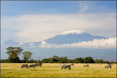 "La Plage aux romantiques" ou "Les Neiges du Kilimandjaro" sont les principaux titres de cette idole des années 60.