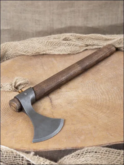 "Souviens-toi du vase de Soissons" : en 486 un jeune chef franc assène cette phrase légendaire. Qui était-il ?