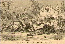 Quelle est la profession de Dioly dans un roman de 1868 ?