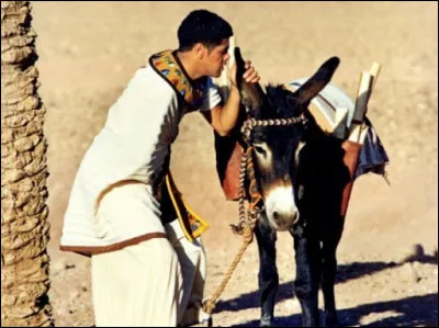 Dans quel film rencontre-t-on Cannabis, l'âne de Numérobis ?