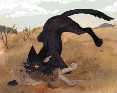 Que ne faut-il pas oublier lorsqu'on traque une souris ?