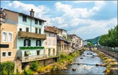 Comment sont appelés les habitants de la ville d'Épinal ?