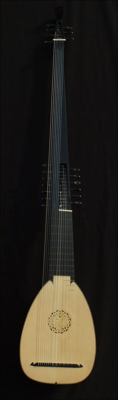 Quel est cet instrument ?