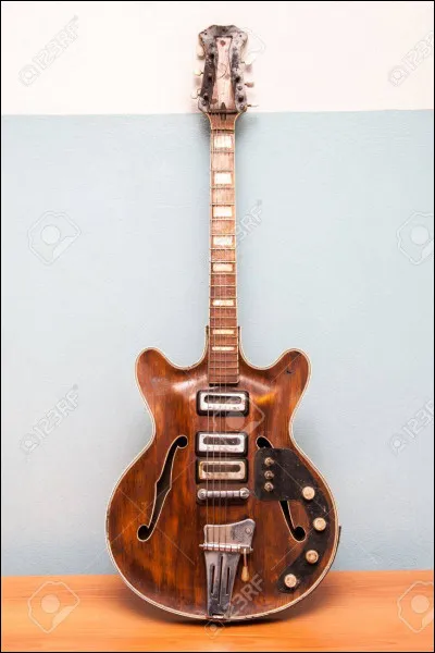 Quel est cet instrument ?