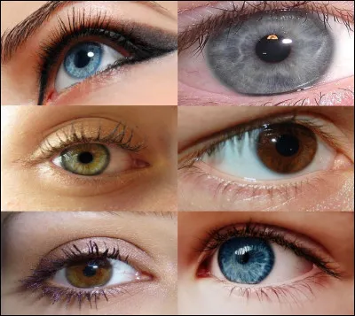 Je te repose la question : quelle est la couleur de tes yeux ?