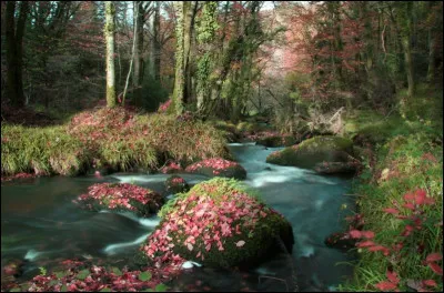 Qui a écrit le poème "La Rivière de Cassis" ?